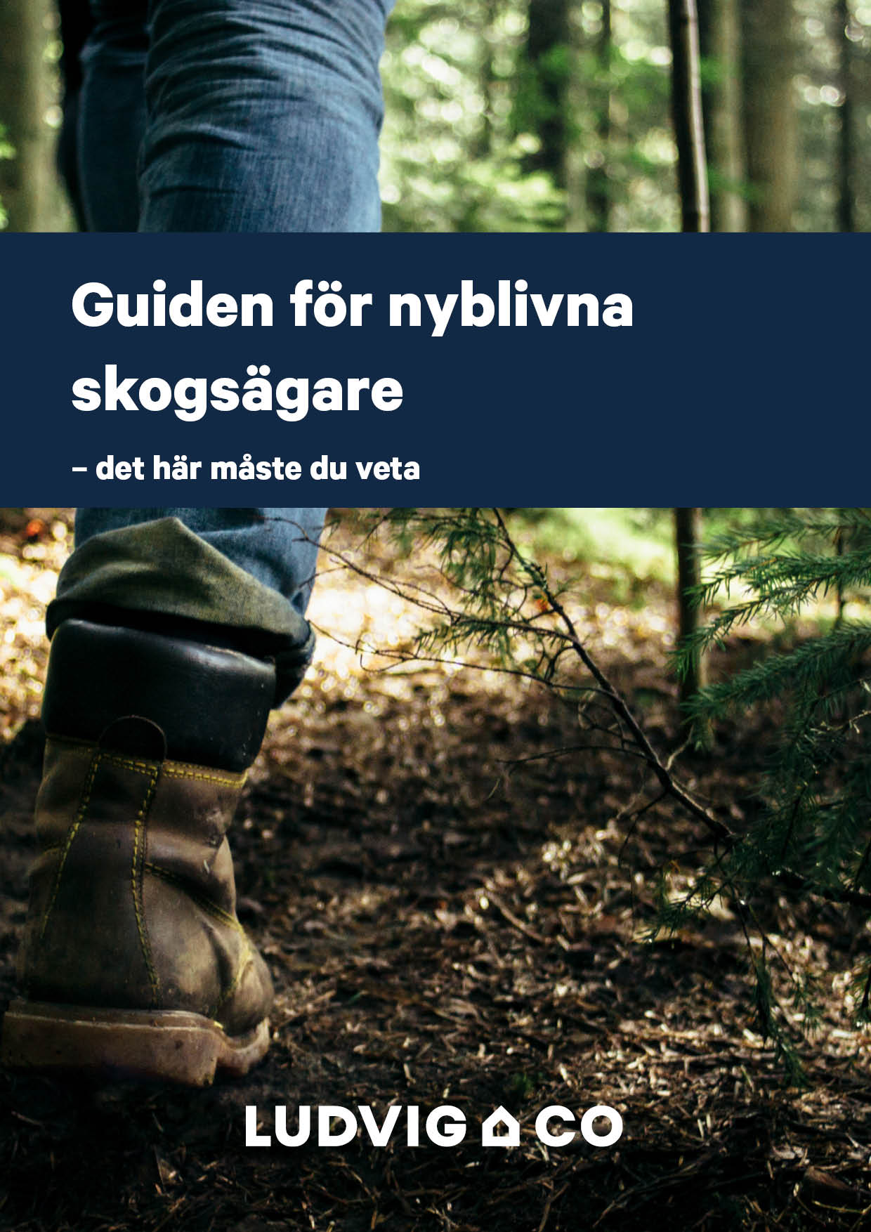 Guiden for nyblivna skogsagare