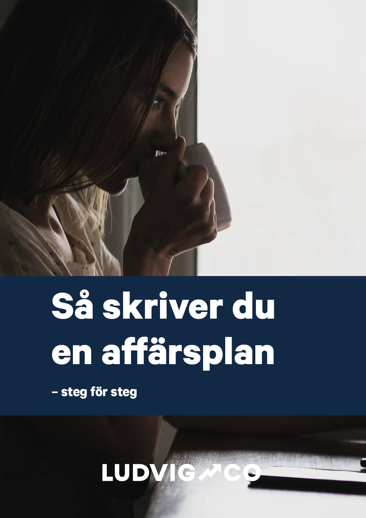 Sa skriver du en affarsplan