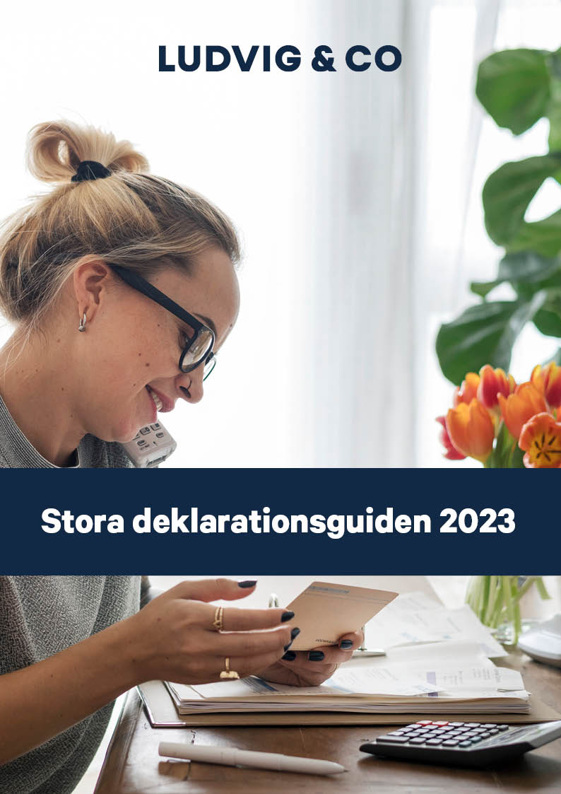 L&Co_Guide_ Stora-deklarationsguiden-2023