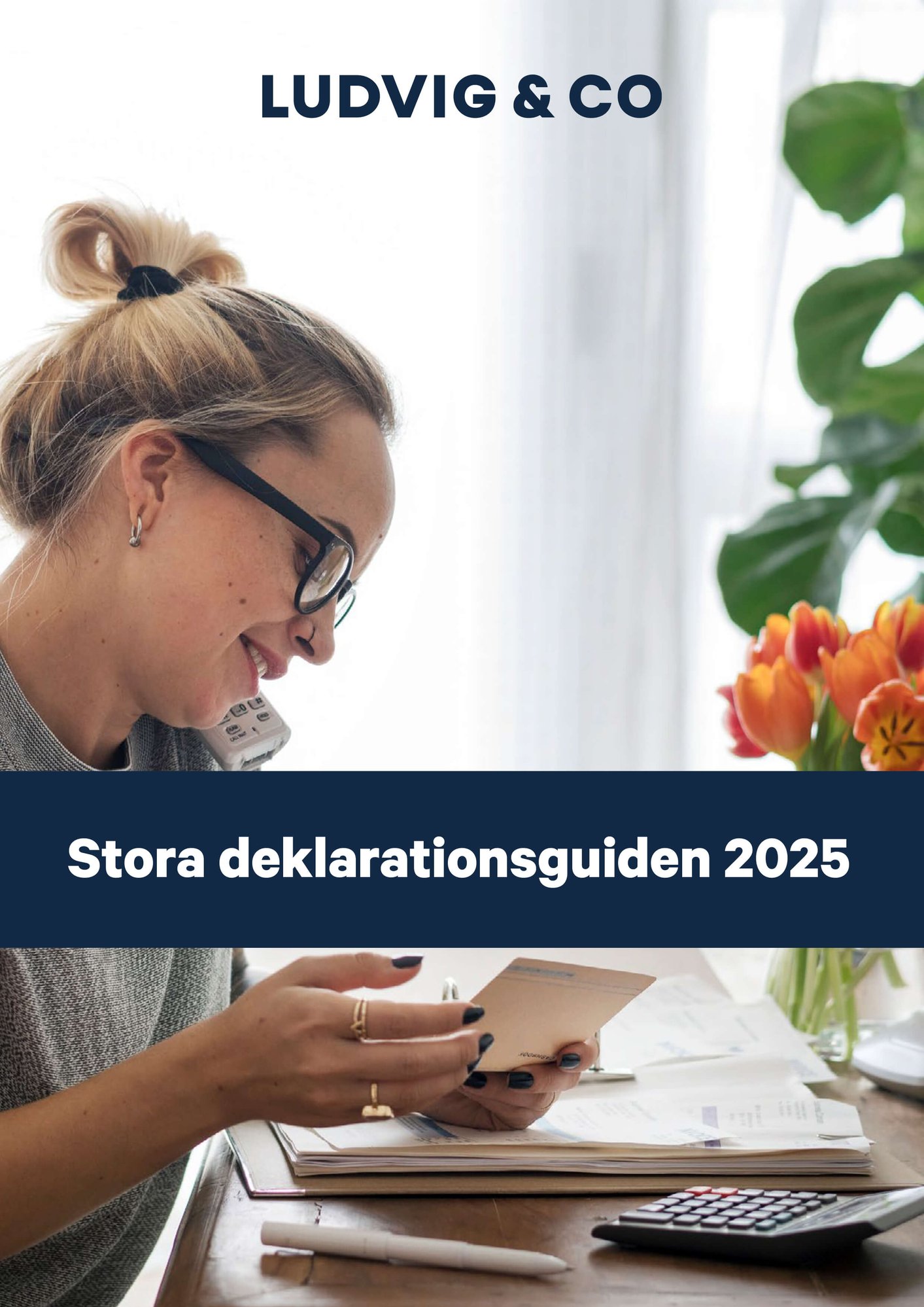 L_Co_Guide_ Stora-deklarationsguiden-2025