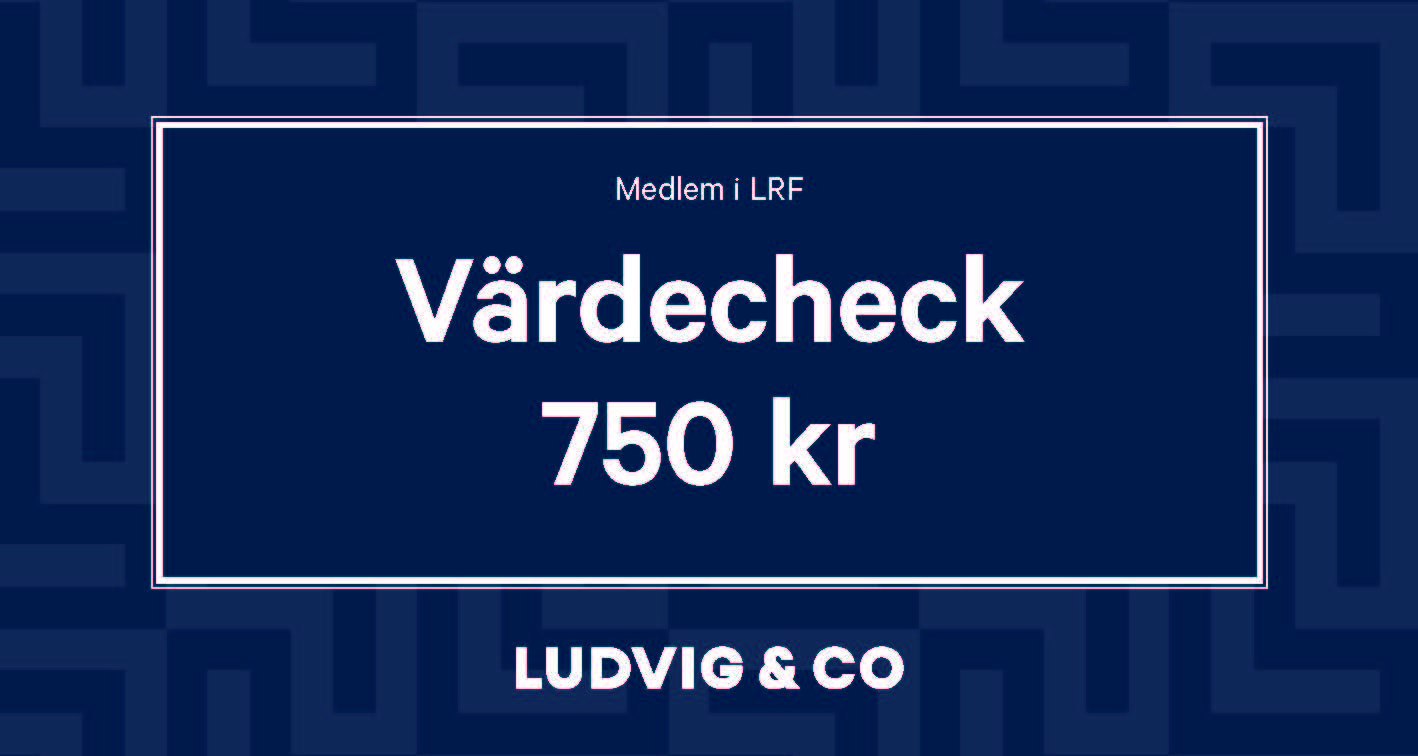 Vardecheck_Ludvig